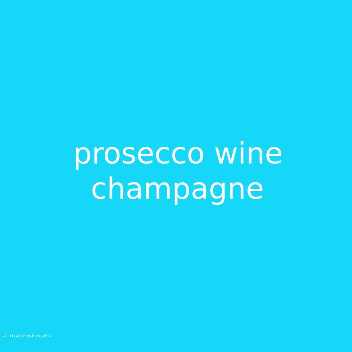 Prosecco Wine Champagne