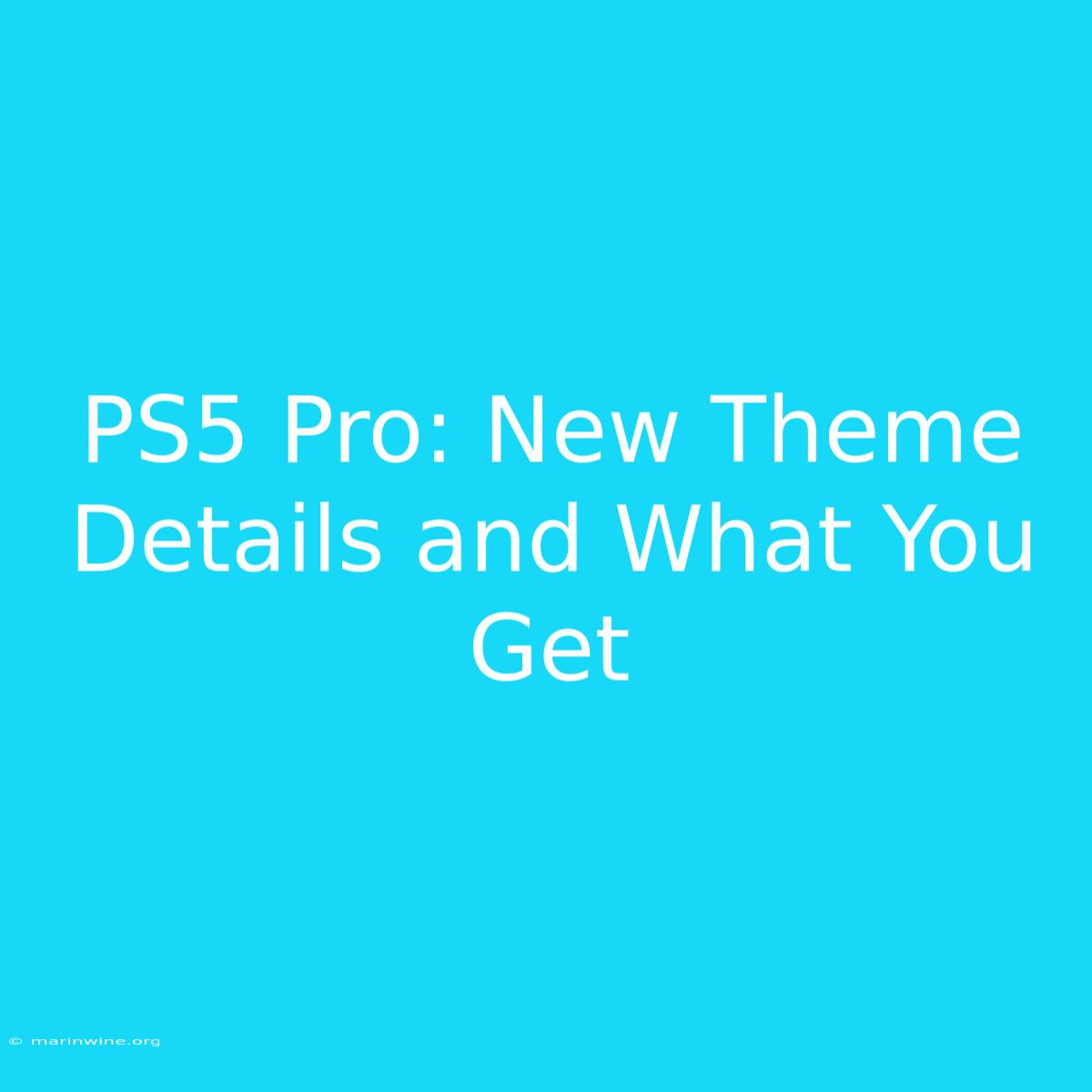 PS5 Pro: New Theme Details And What You Get