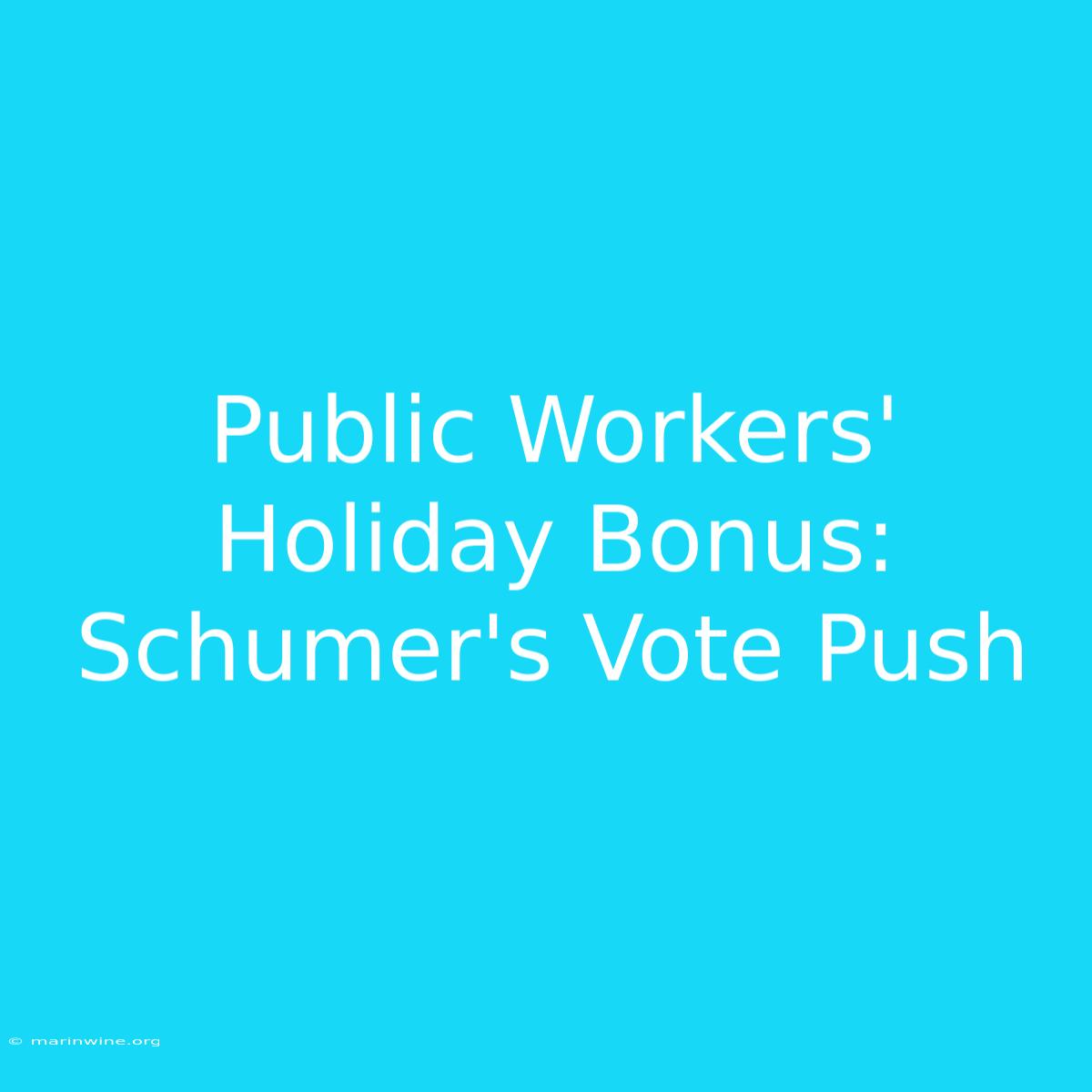 Public Workers' Holiday Bonus: Schumer's Vote Push