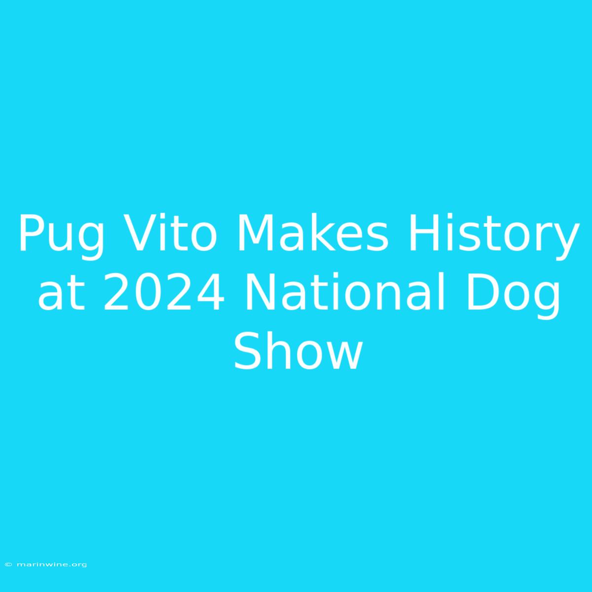 Pug Vito Makes History At 2024 National Dog Show