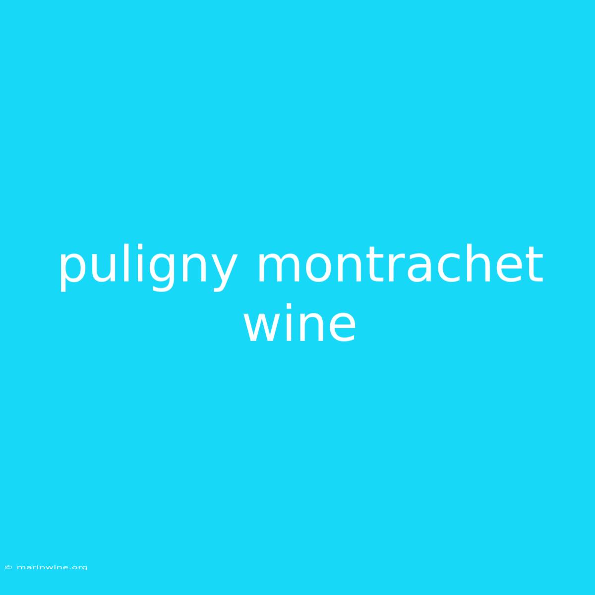 Puligny Montrachet Wine