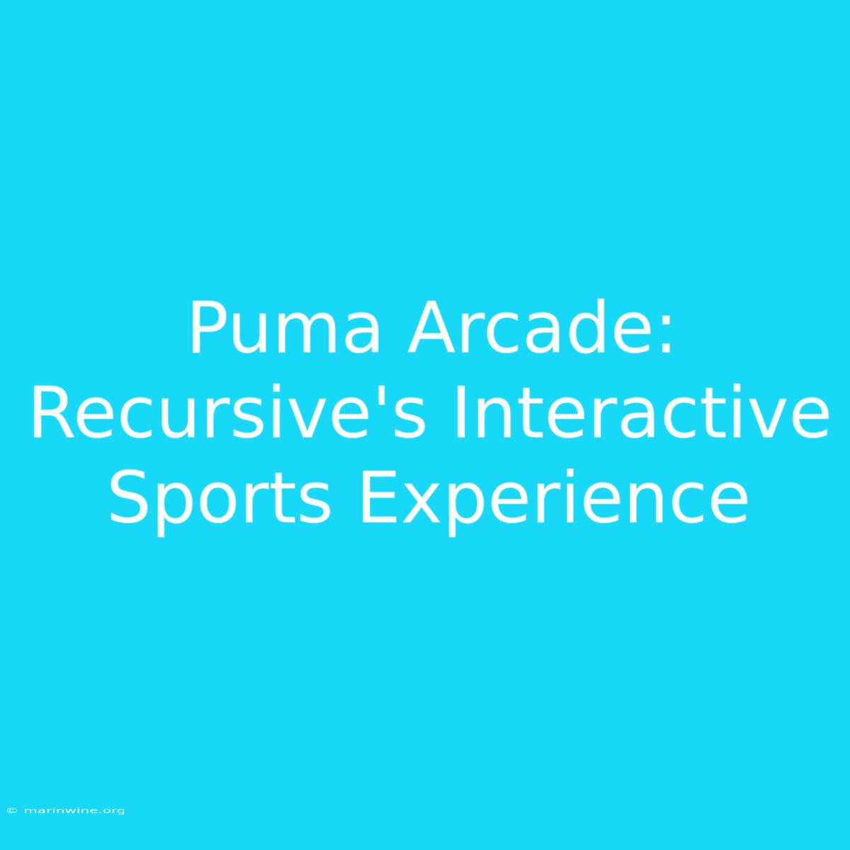 Puma Arcade: Recursive's Interactive Sports Experience