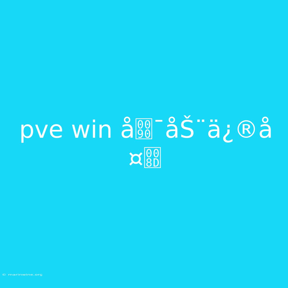 Pve Win Å¯åŠ¨ä¿®å¤