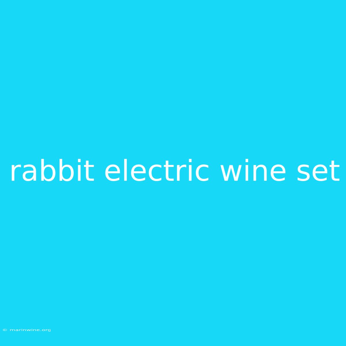 Rabbit Electric Wine Set