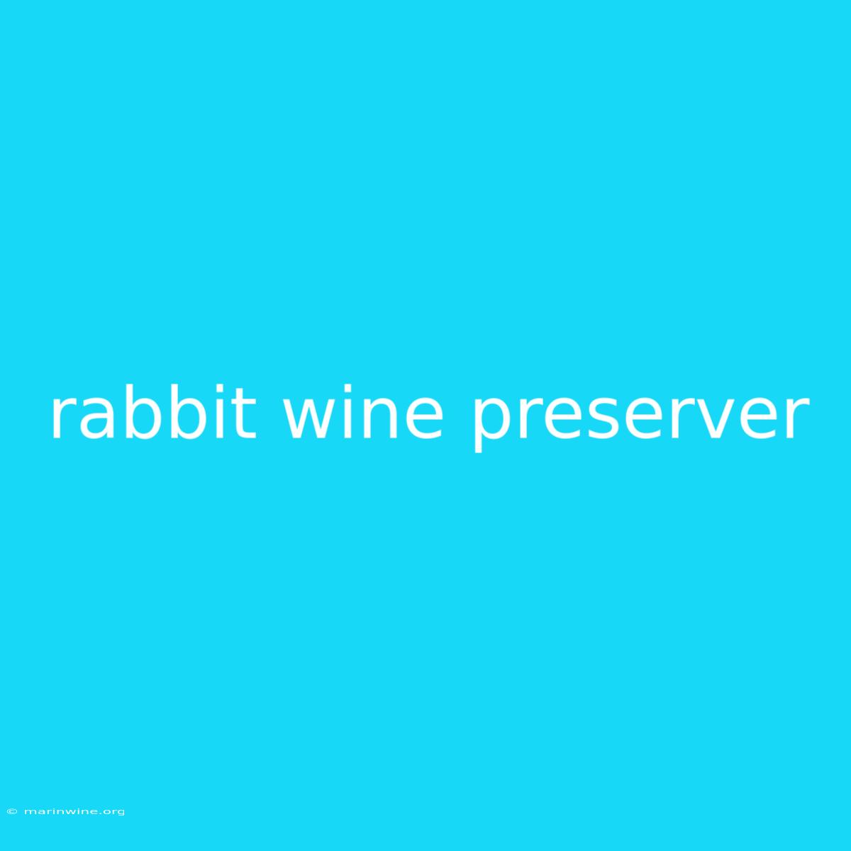 Rabbit Wine Preserver