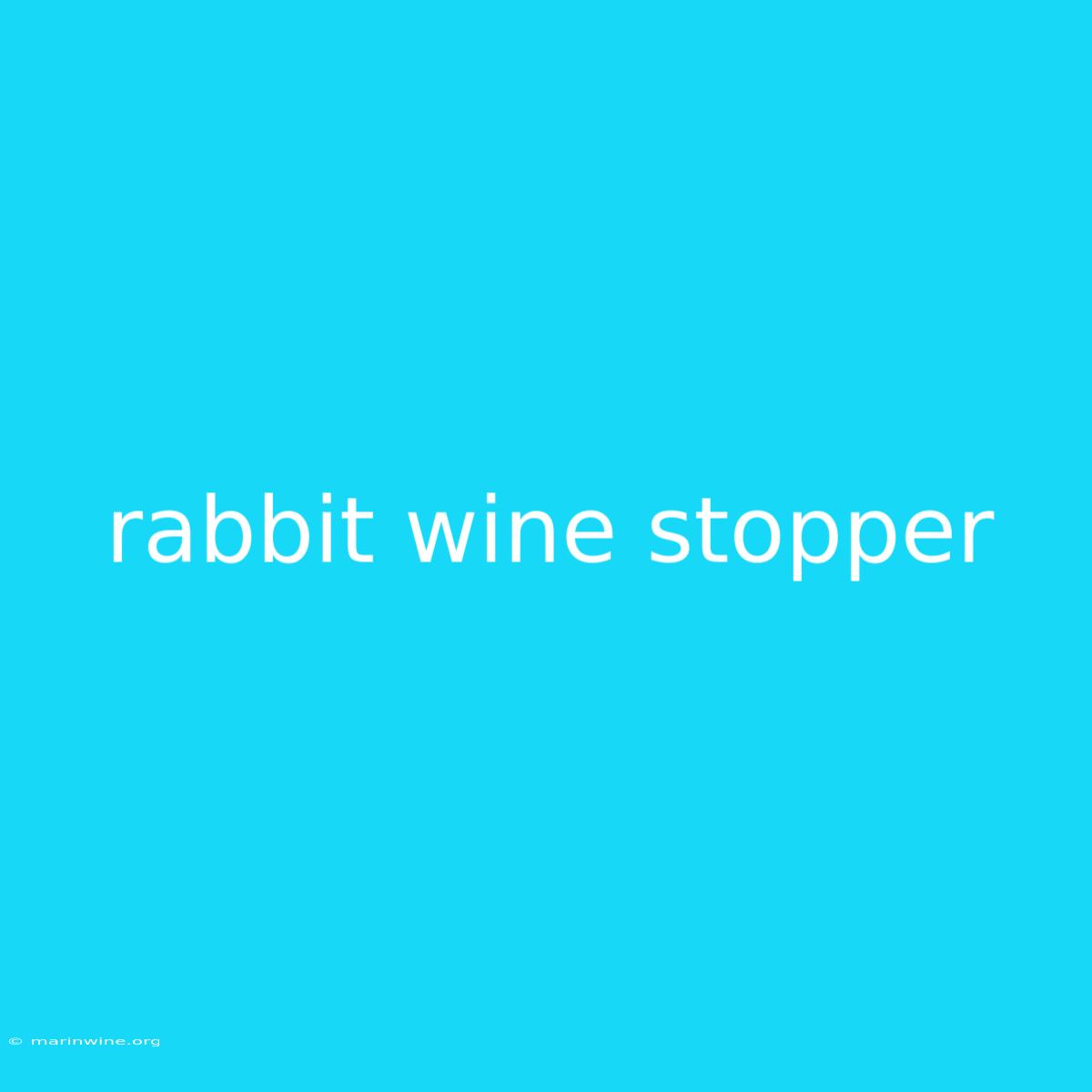 Rabbit Wine Stopper