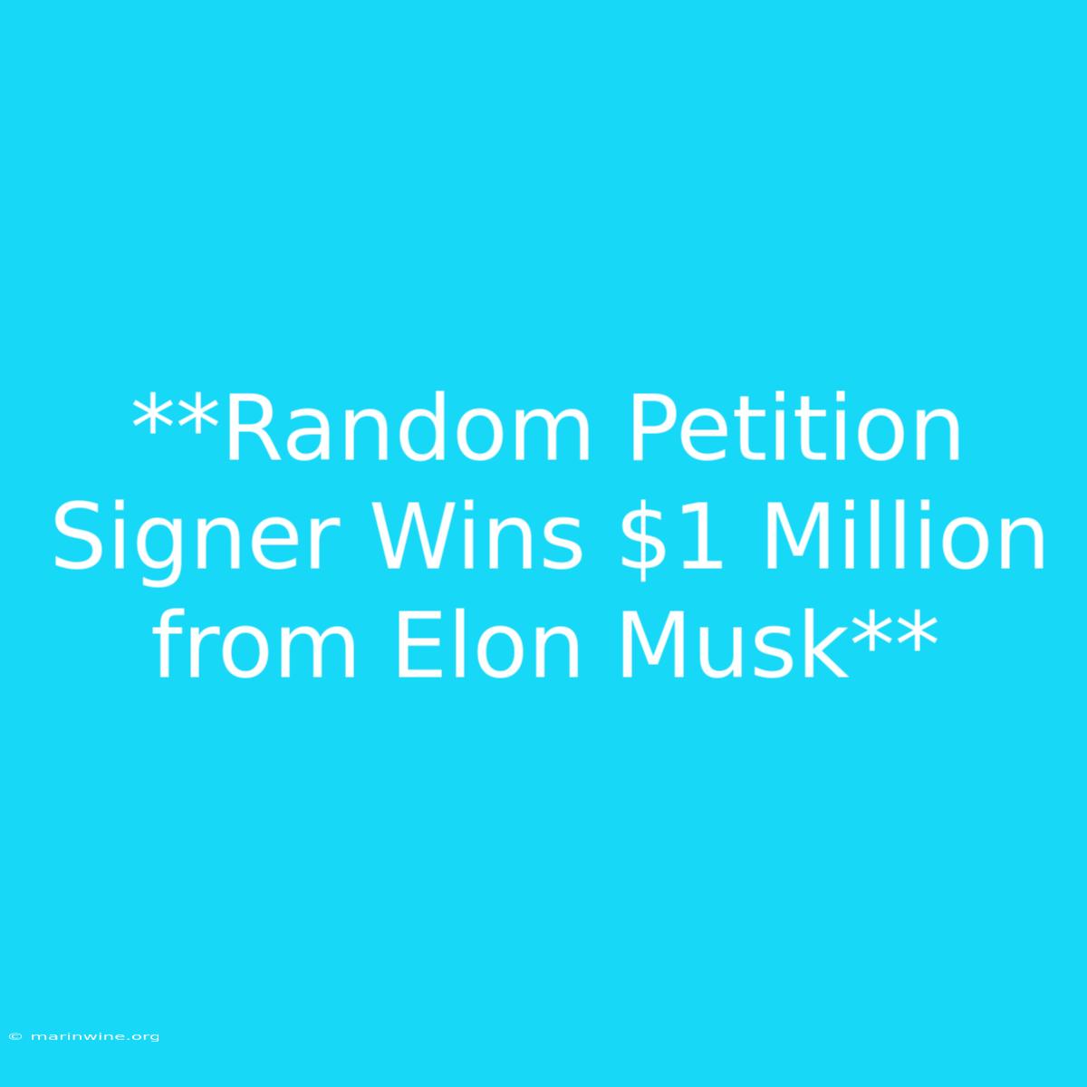 **Random Petition Signer Wins $1 Million From Elon Musk**