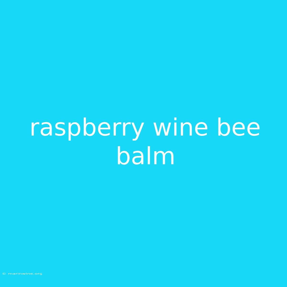 Raspberry Wine Bee Balm