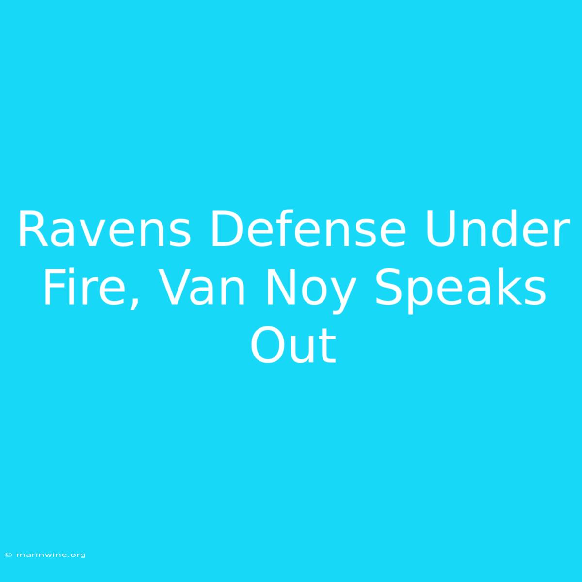 Ravens Defense Under Fire, Van Noy Speaks Out