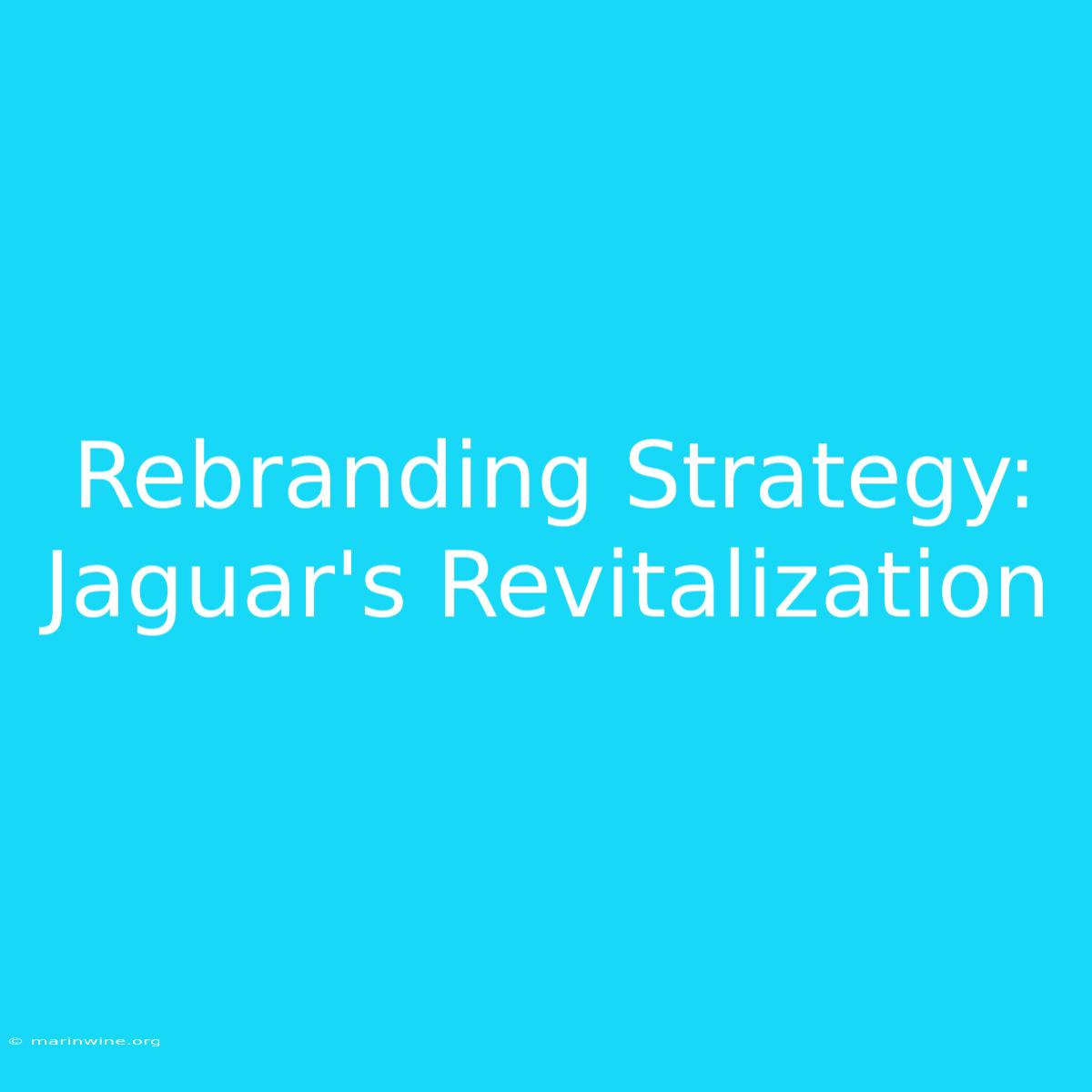 Rebranding Strategy: Jaguar's Revitalization