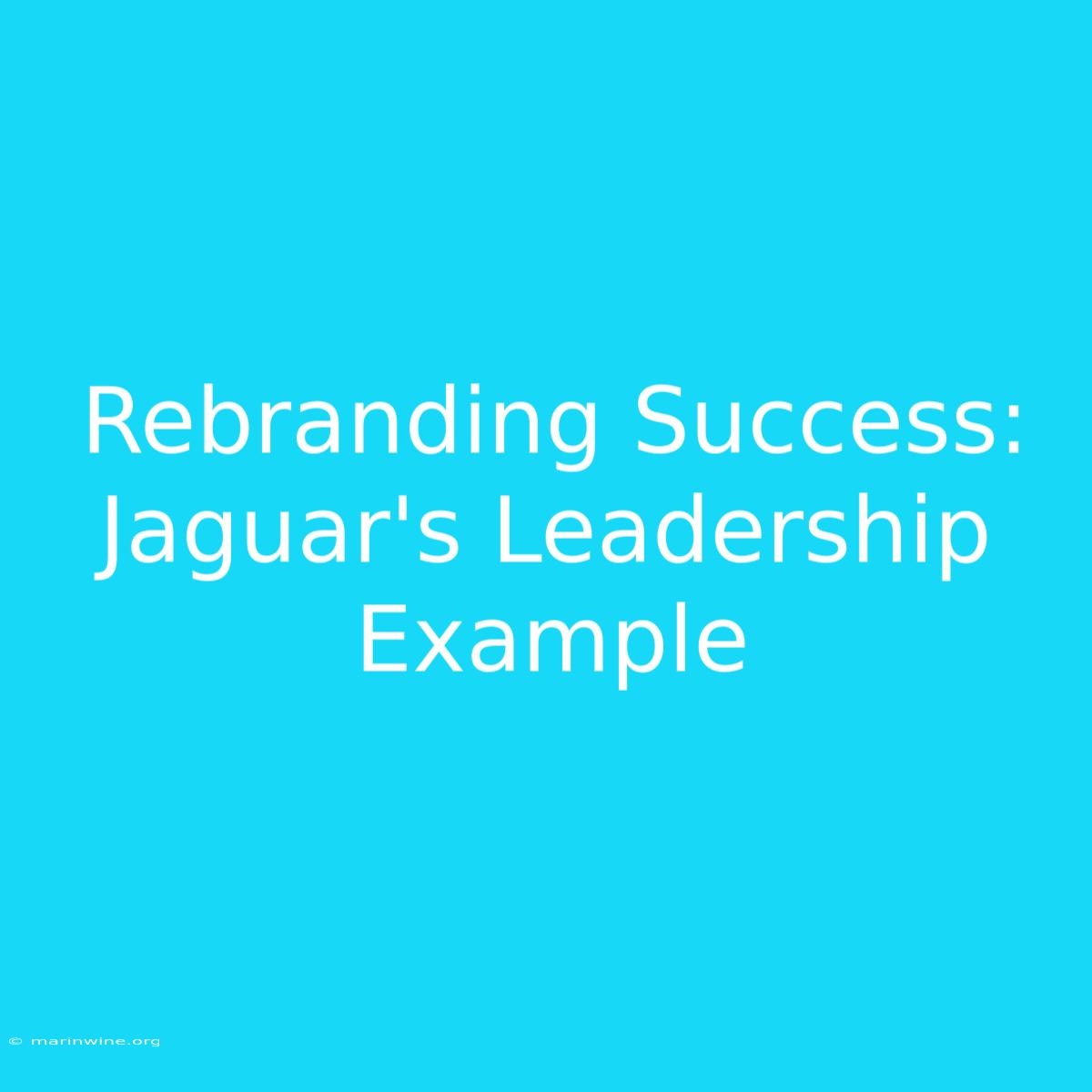 Rebranding Success: Jaguar's Leadership Example