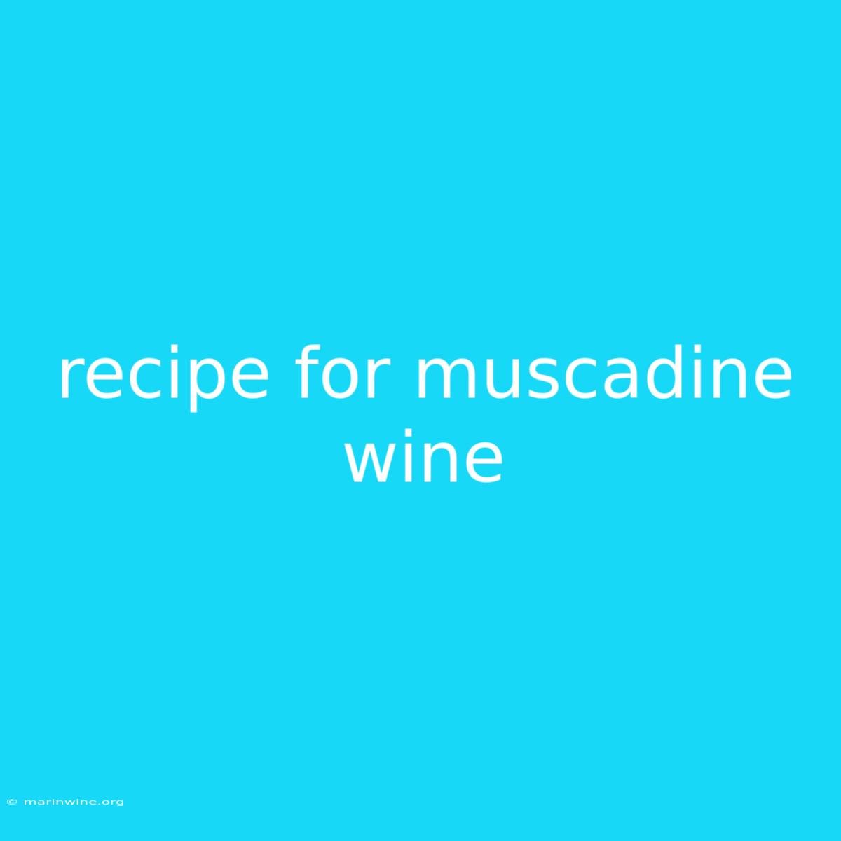 Recipe For Muscadine Wine