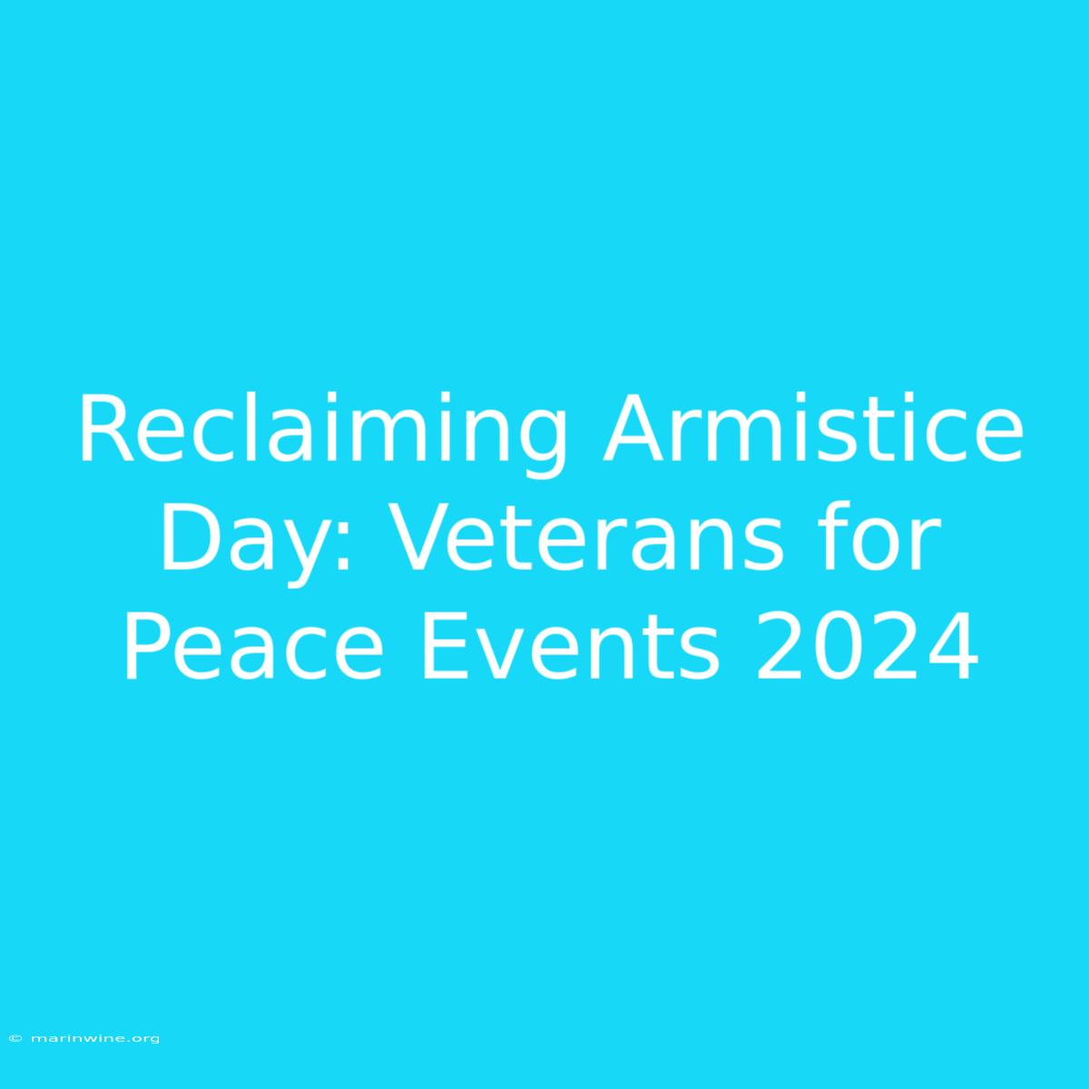 Reclaiming Armistice Day: Veterans For Peace Events 2024