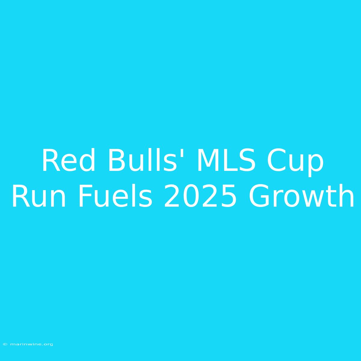 Red Bulls' MLS Cup Run Fuels 2025 Growth