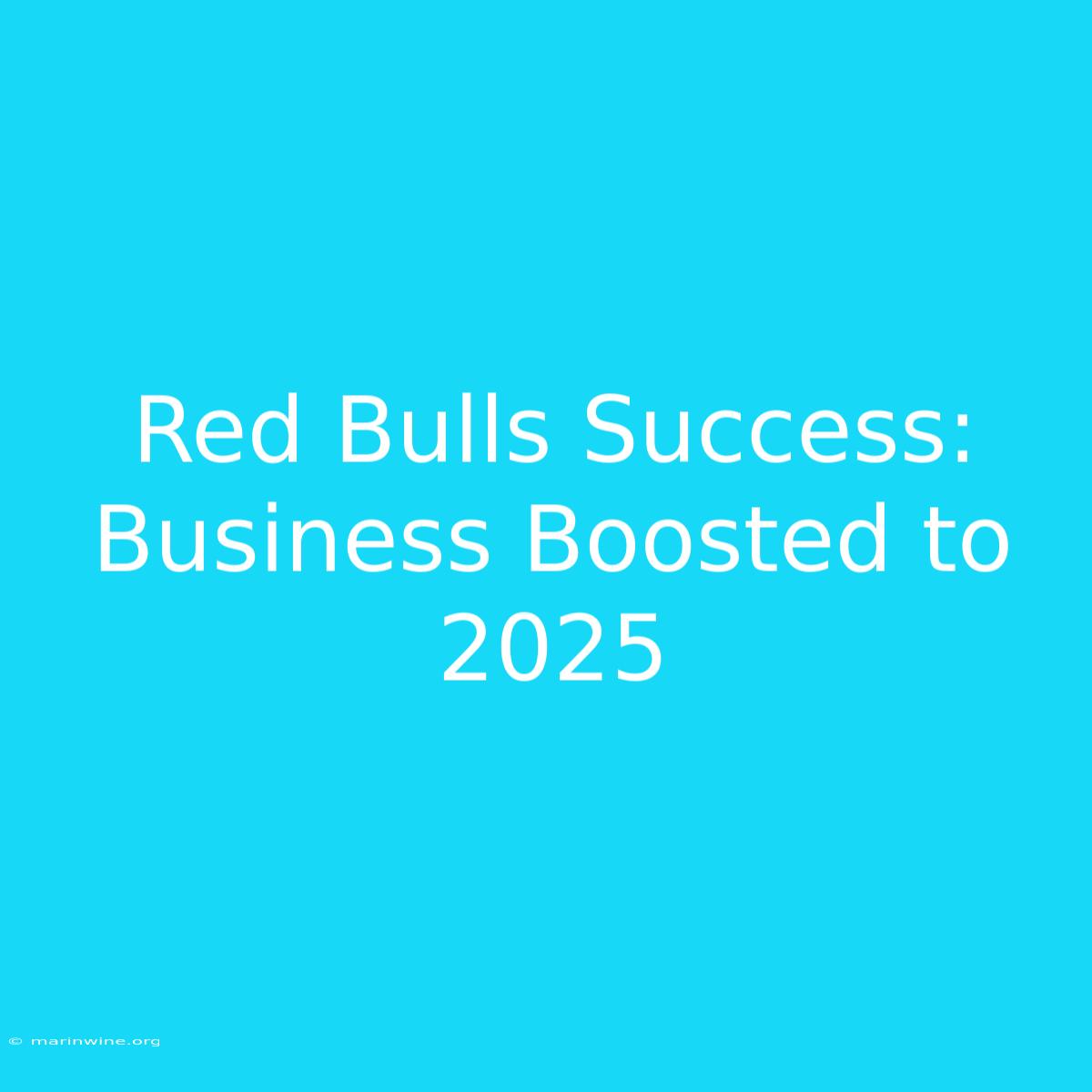 Red Bulls Success: Business Boosted To 2025