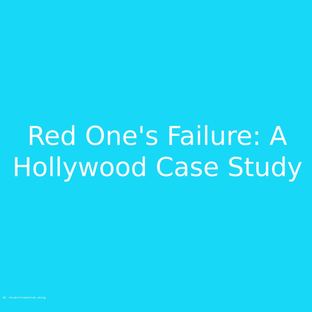 Red One's Failure: A Hollywood Case Study