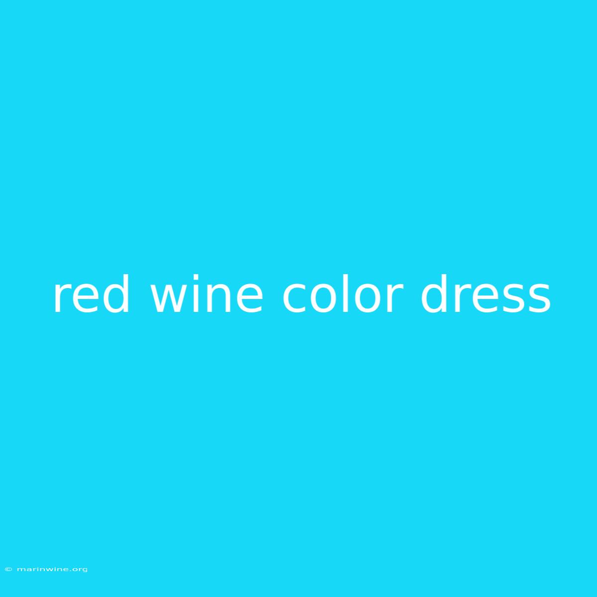 Red Wine Color Dress