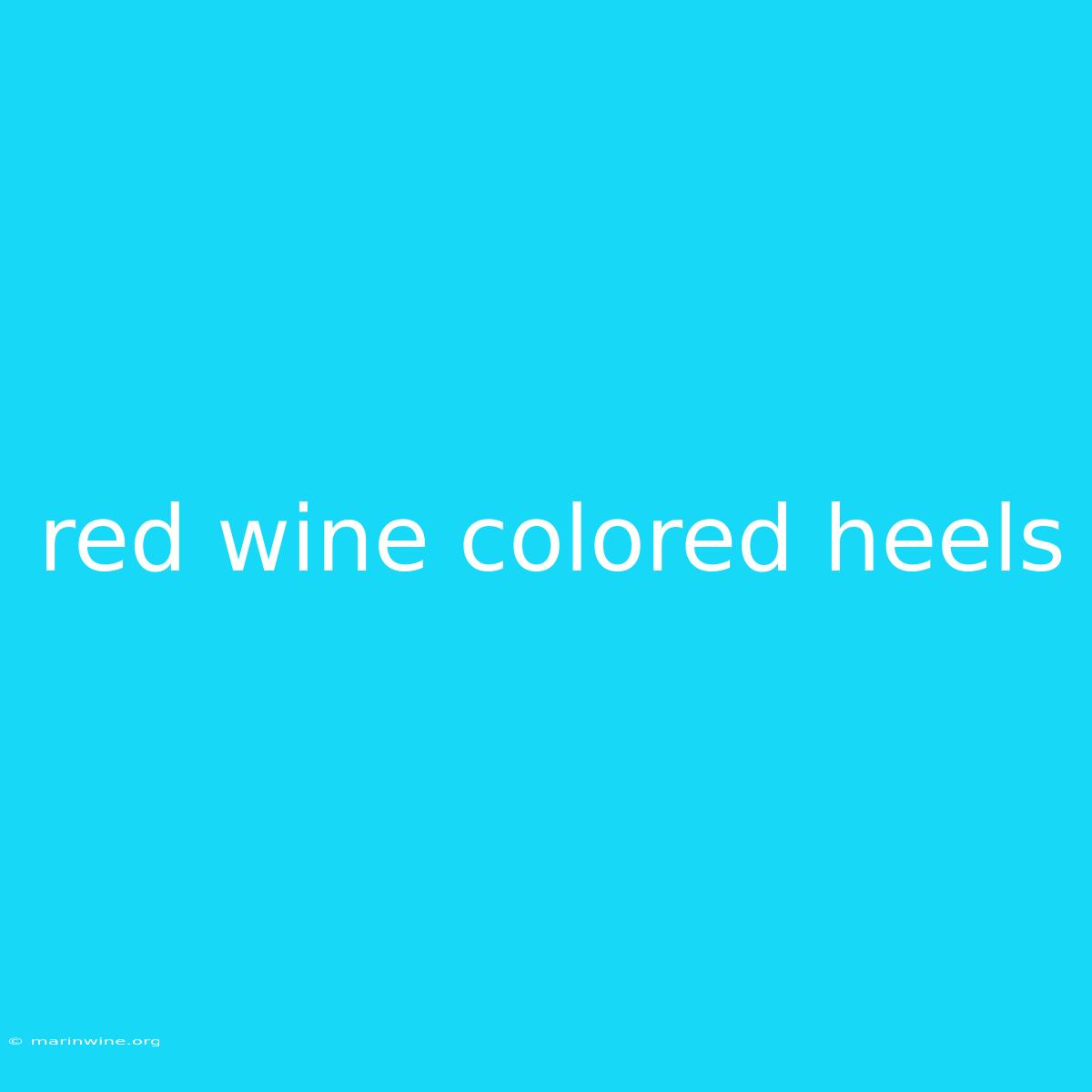 Red Wine Colored Heels