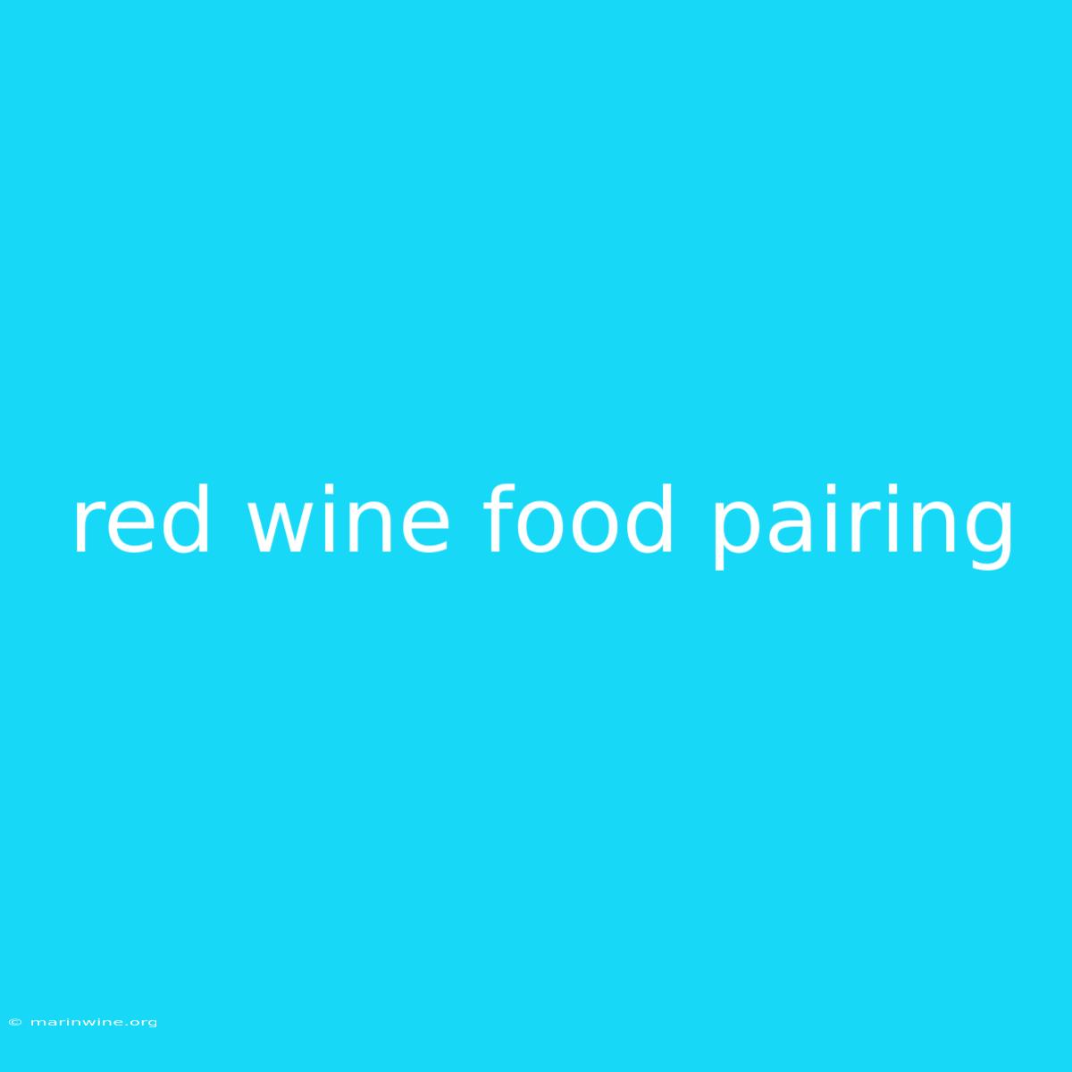 Red Wine Food Pairing