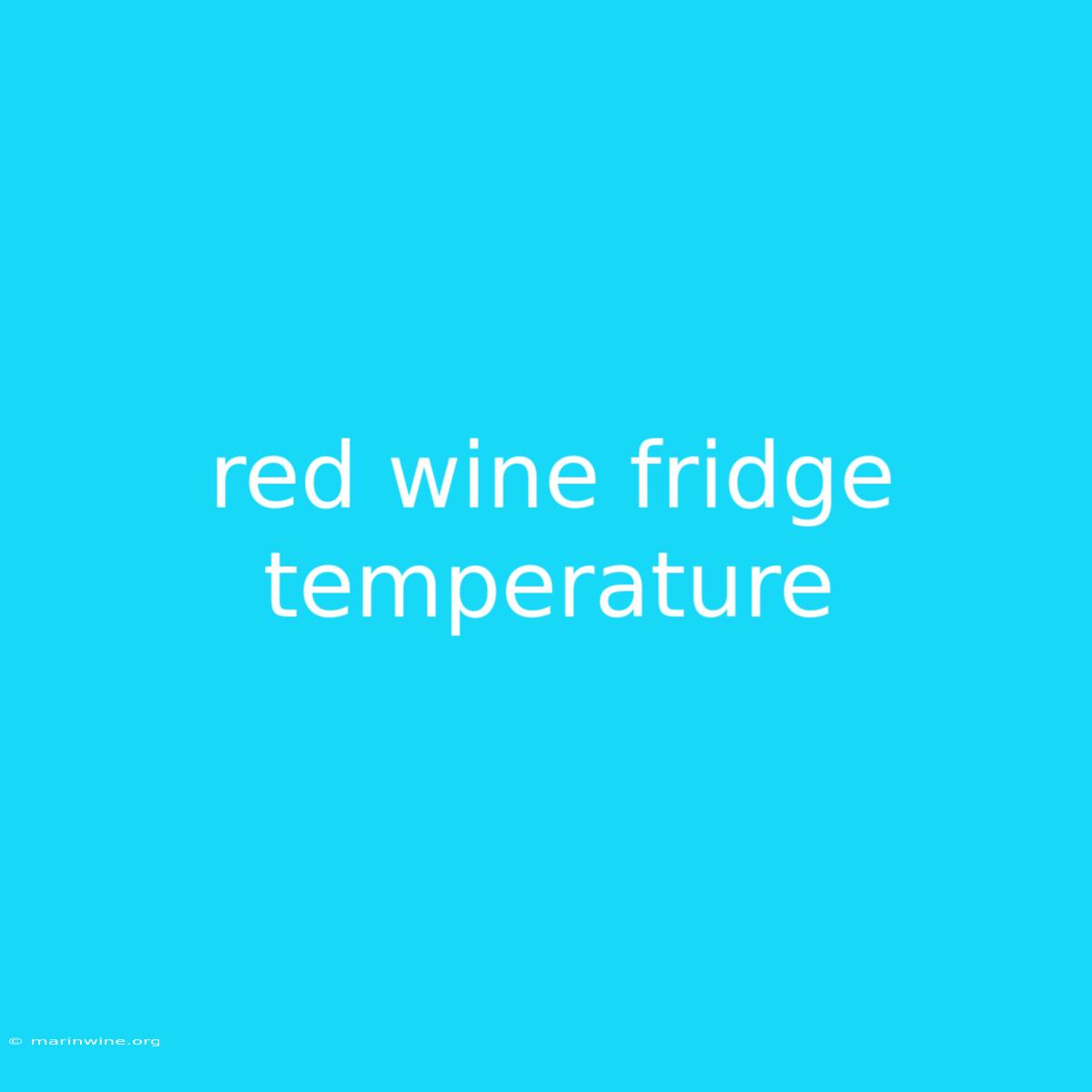 Red Wine Fridge Temperature