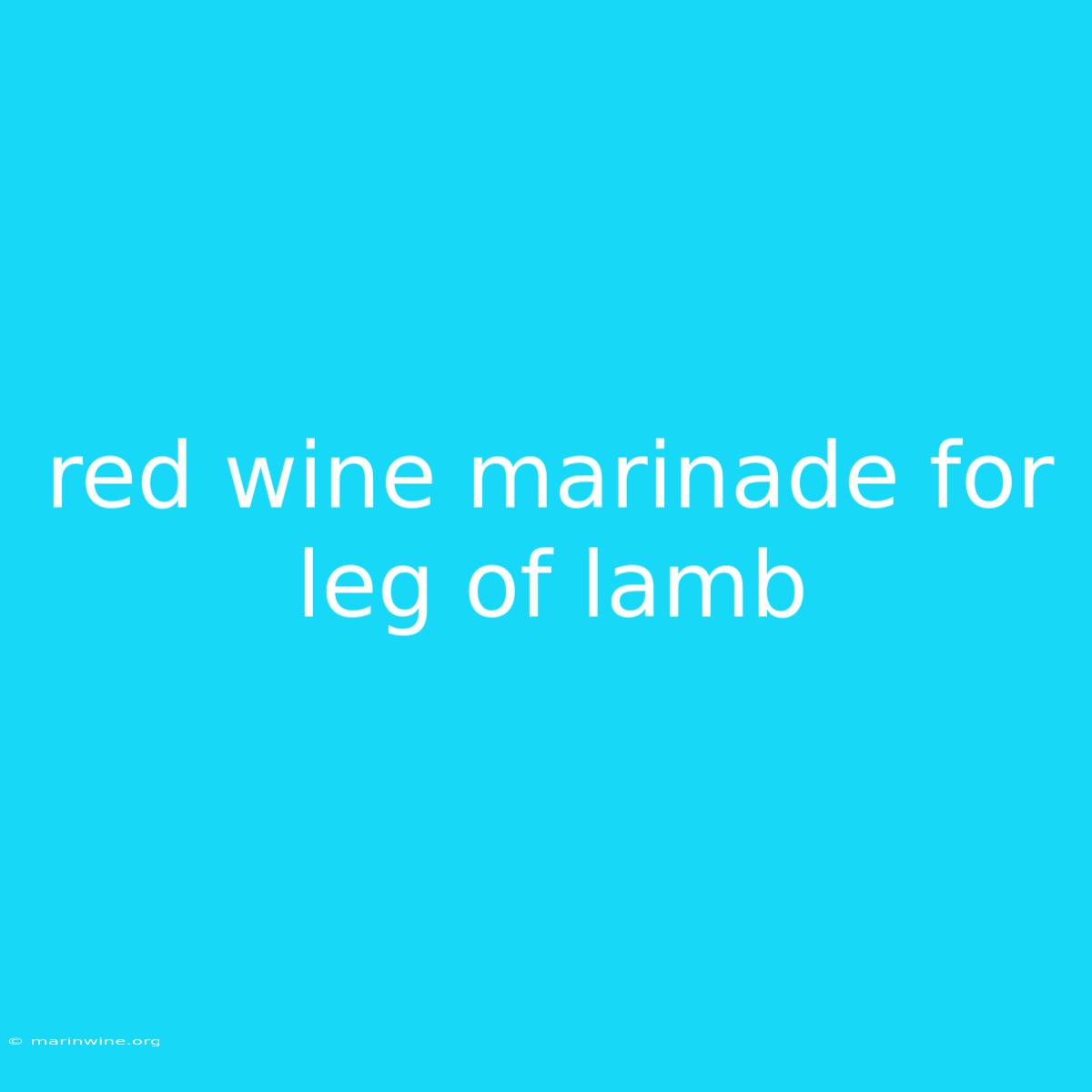 Red Wine Marinade For Leg Of Lamb