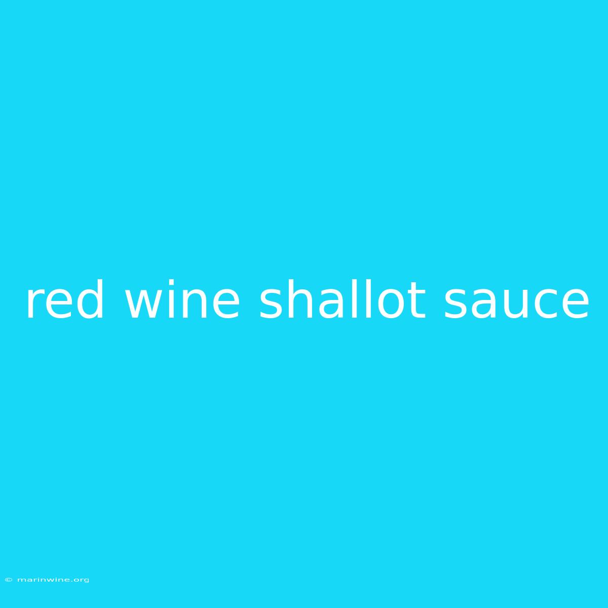 Red Wine Shallot Sauce