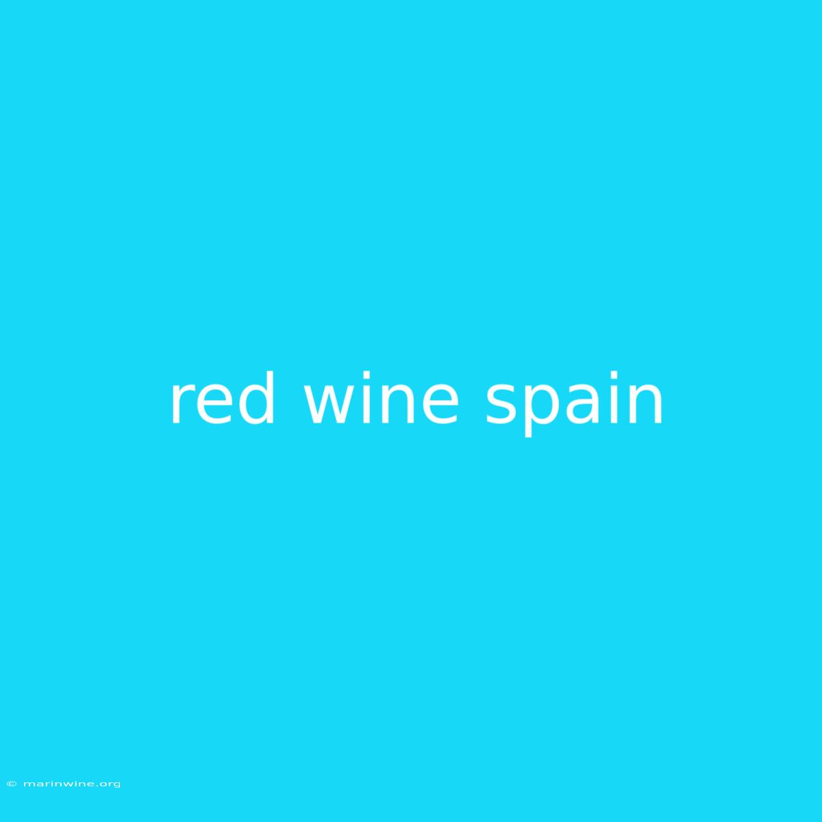 Red Wine Spain