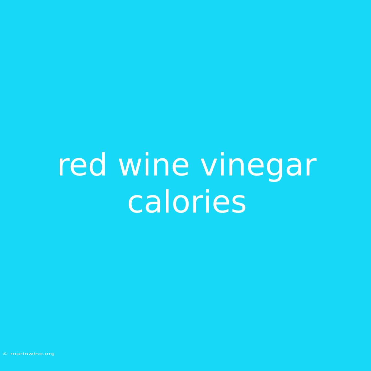 Red Wine Vinegar Calories