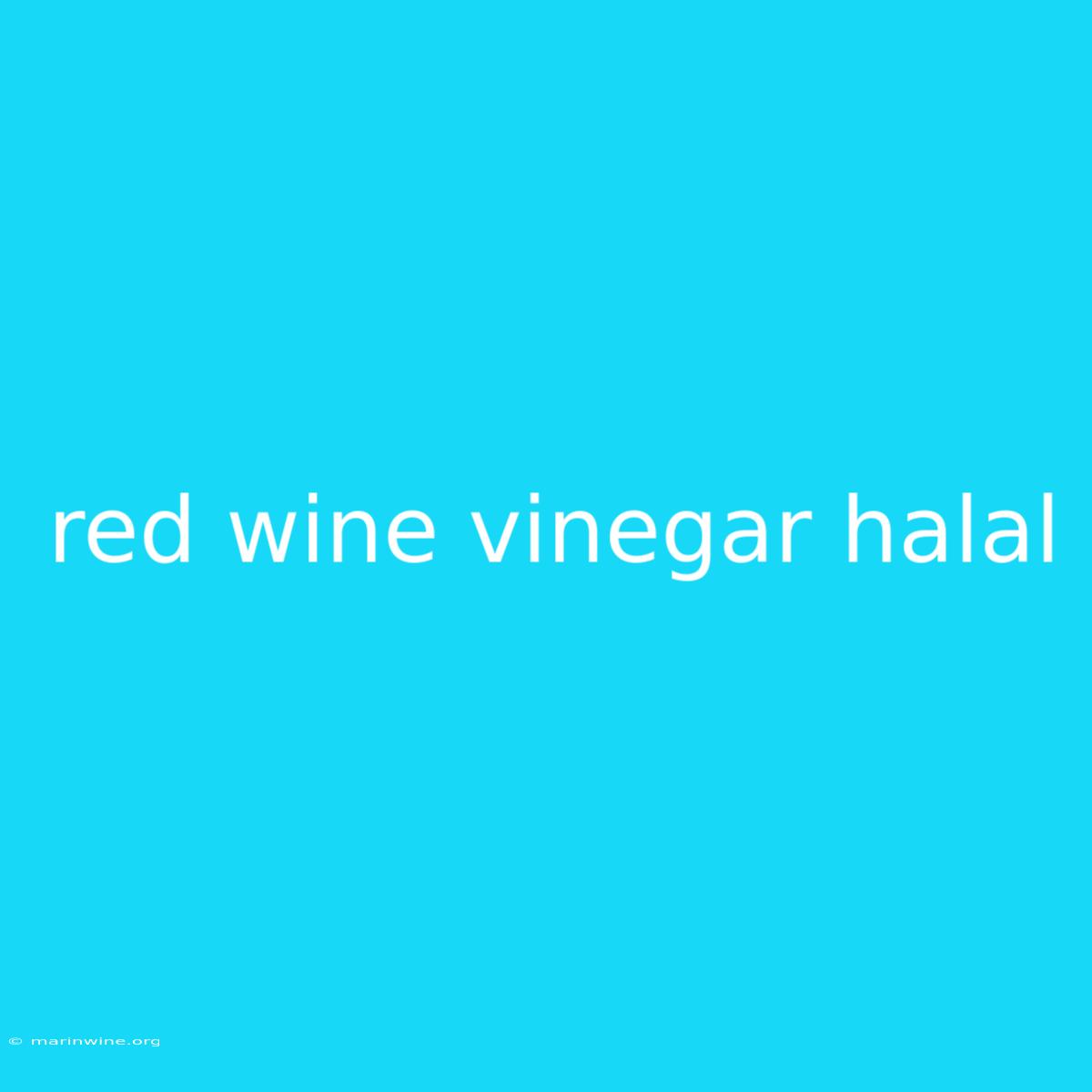 Red Wine Vinegar Halal