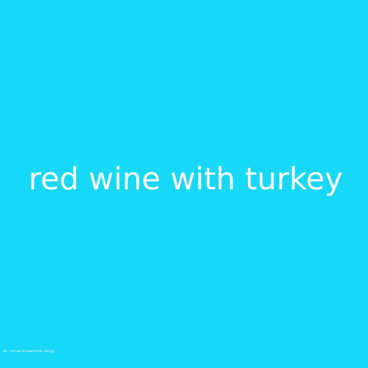 Red Wine With Turkey