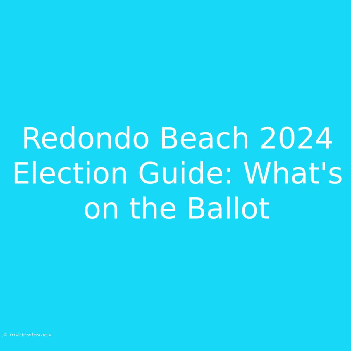 Redondo Beach 2024 Election Guide: What's On The Ballot