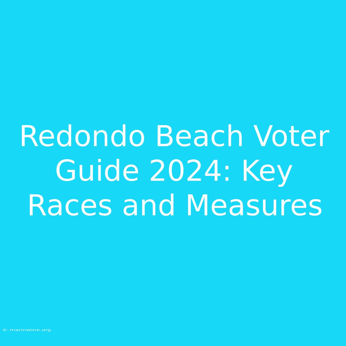 Redondo Beach Voter Guide 2024: Key Races And Measures