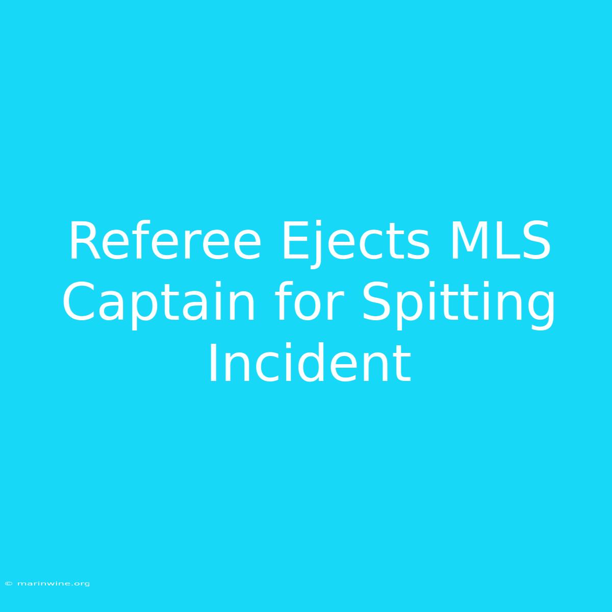 Referee Ejects MLS Captain For Spitting Incident 