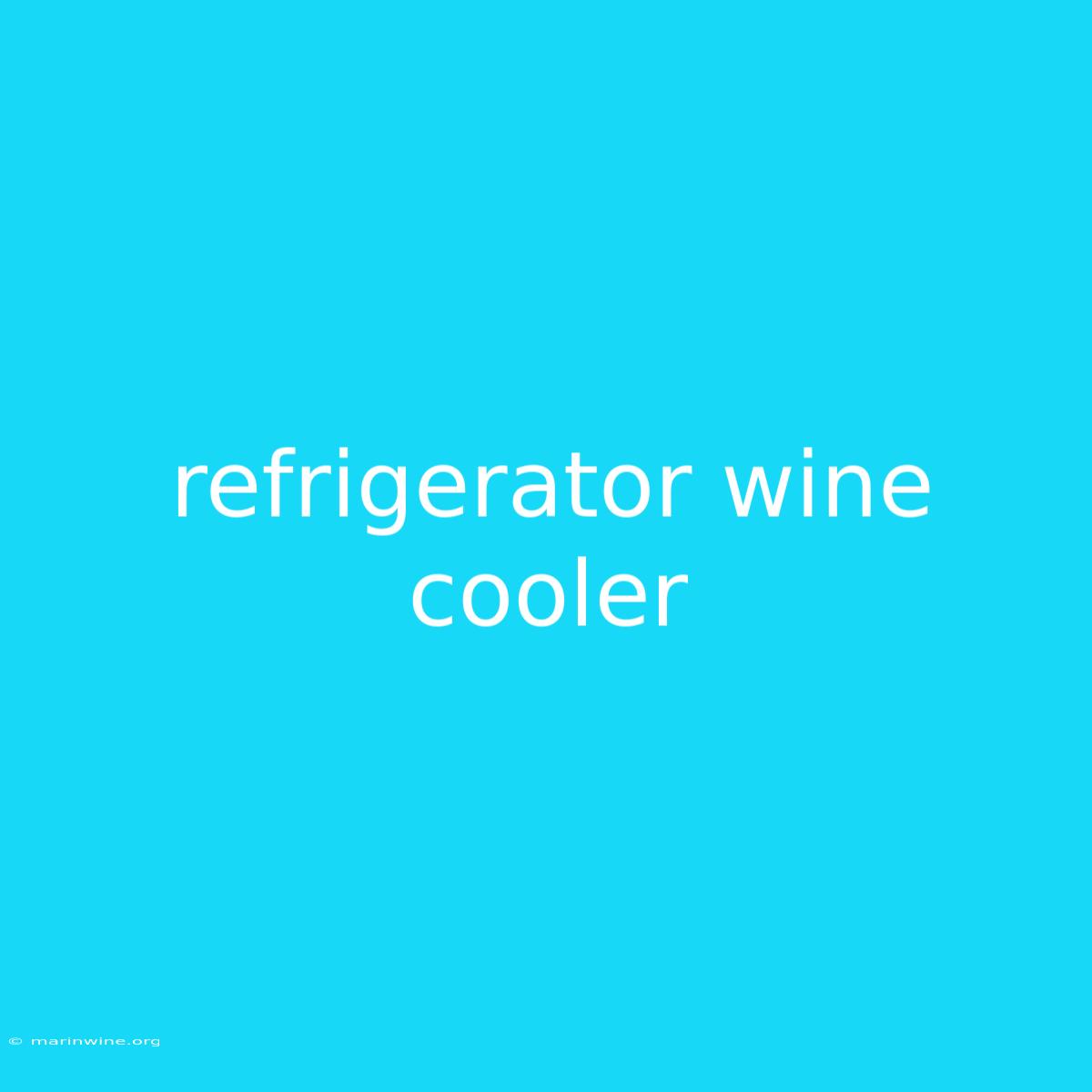 Refrigerator Wine Cooler