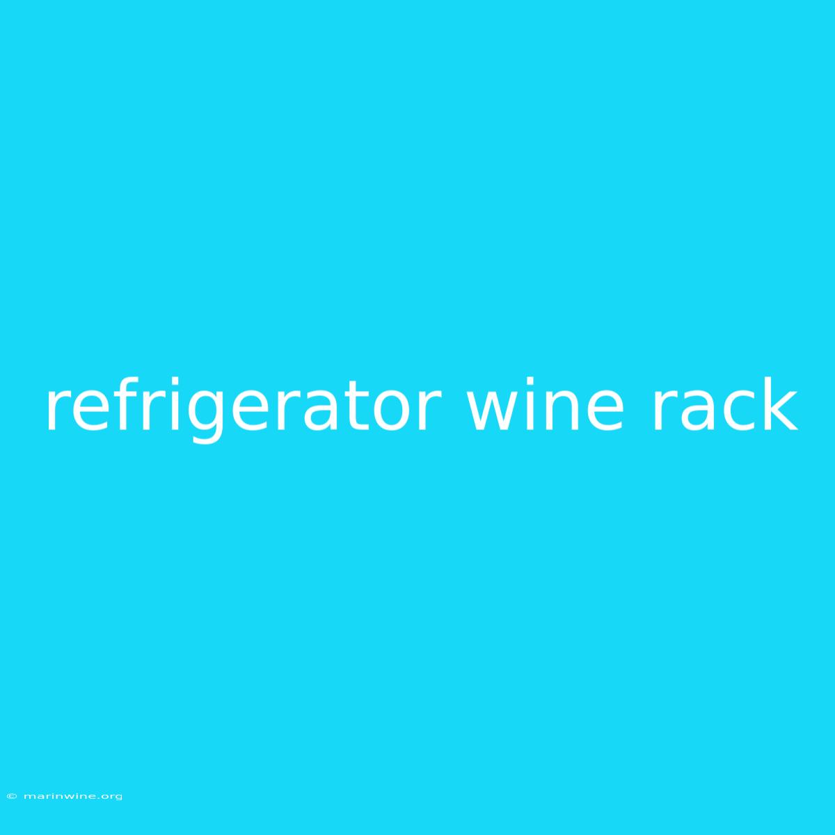 Refrigerator Wine Rack