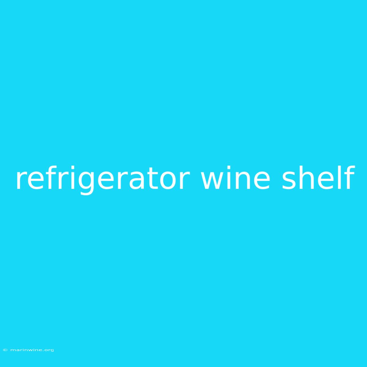 Refrigerator Wine Shelf