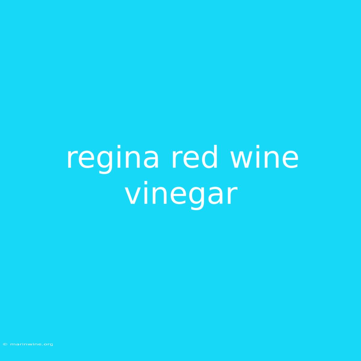 Regina Red Wine Vinegar