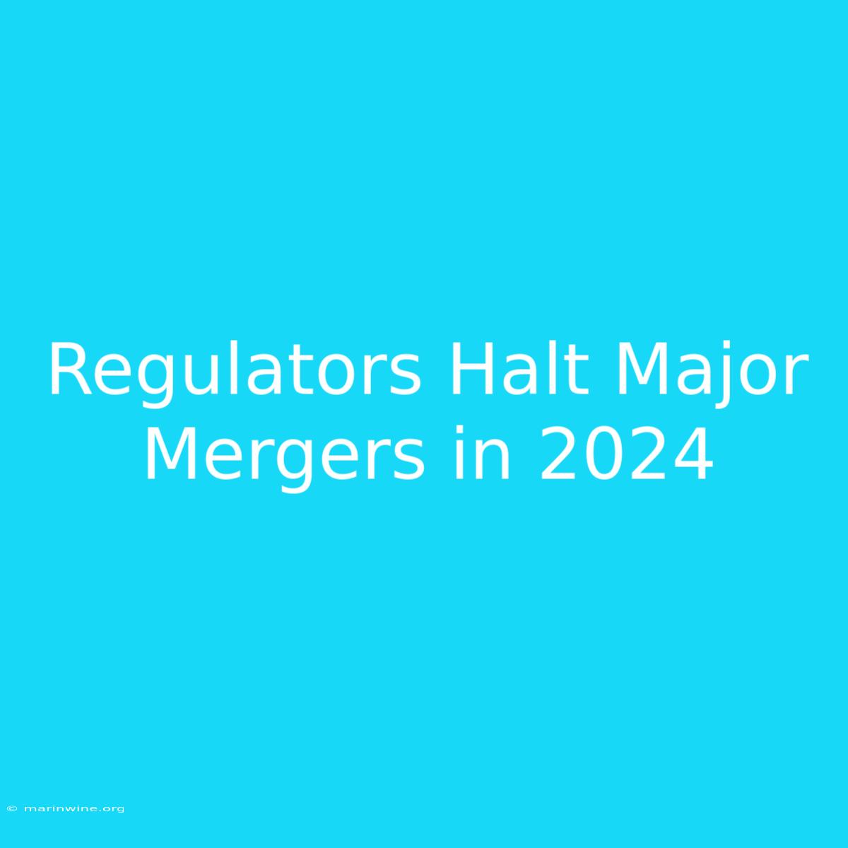 Regulators Halt Major Mergers In 2024