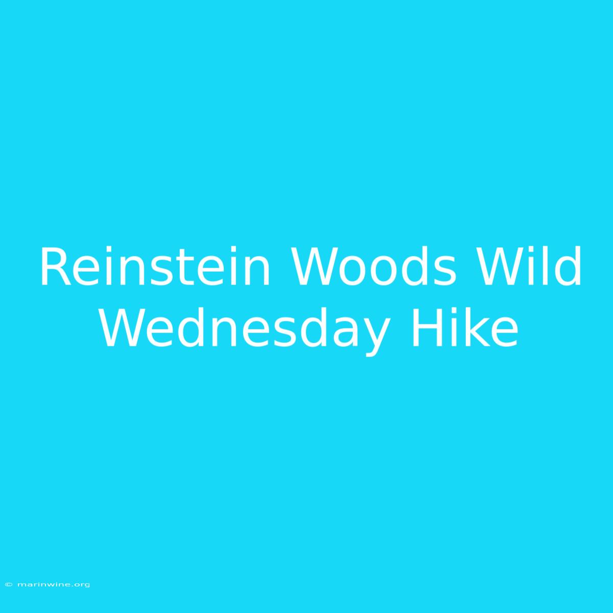 Reinstein Woods Wild Wednesday Hike