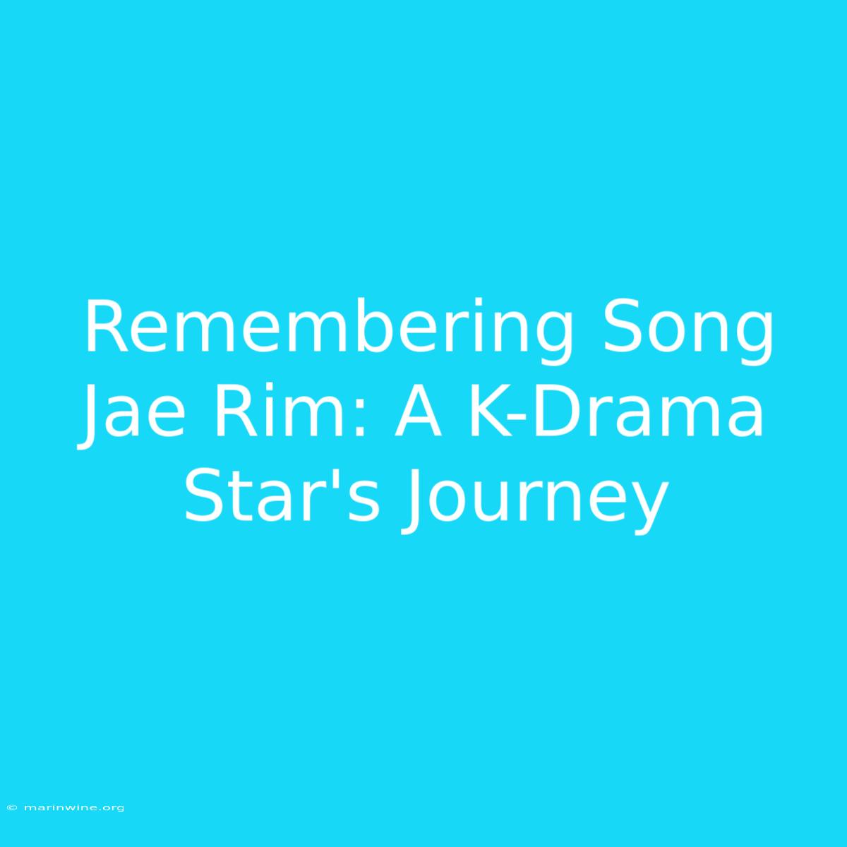 Remembering Song Jae Rim: A K-Drama Star's Journey