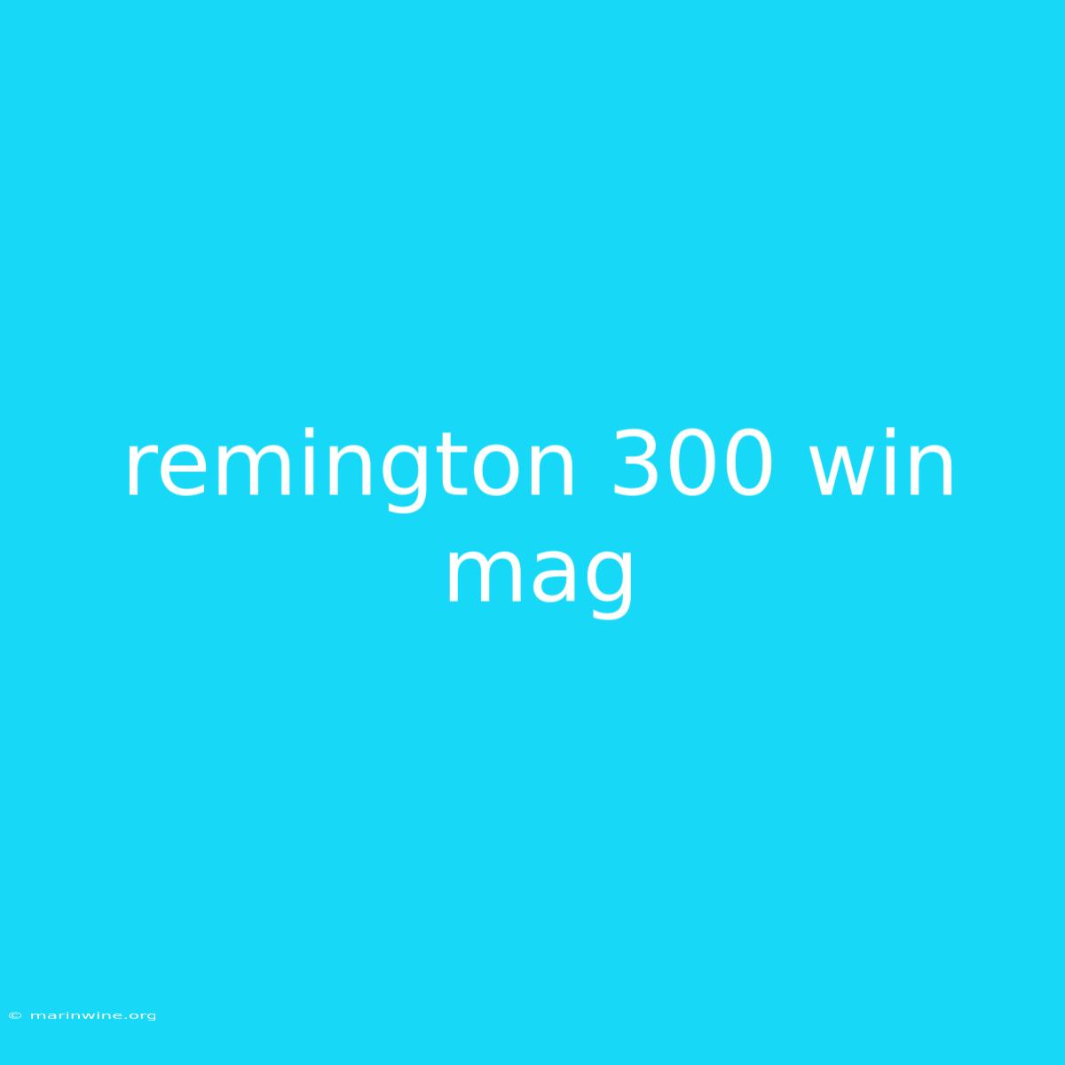 Remington 300 Win Mag