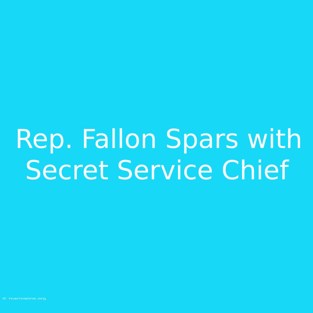 Rep. Fallon Spars With Secret Service Chief