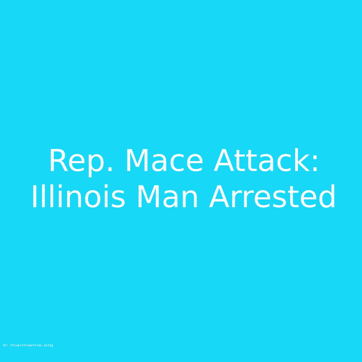 Rep. Mace Attack: Illinois Man Arrested