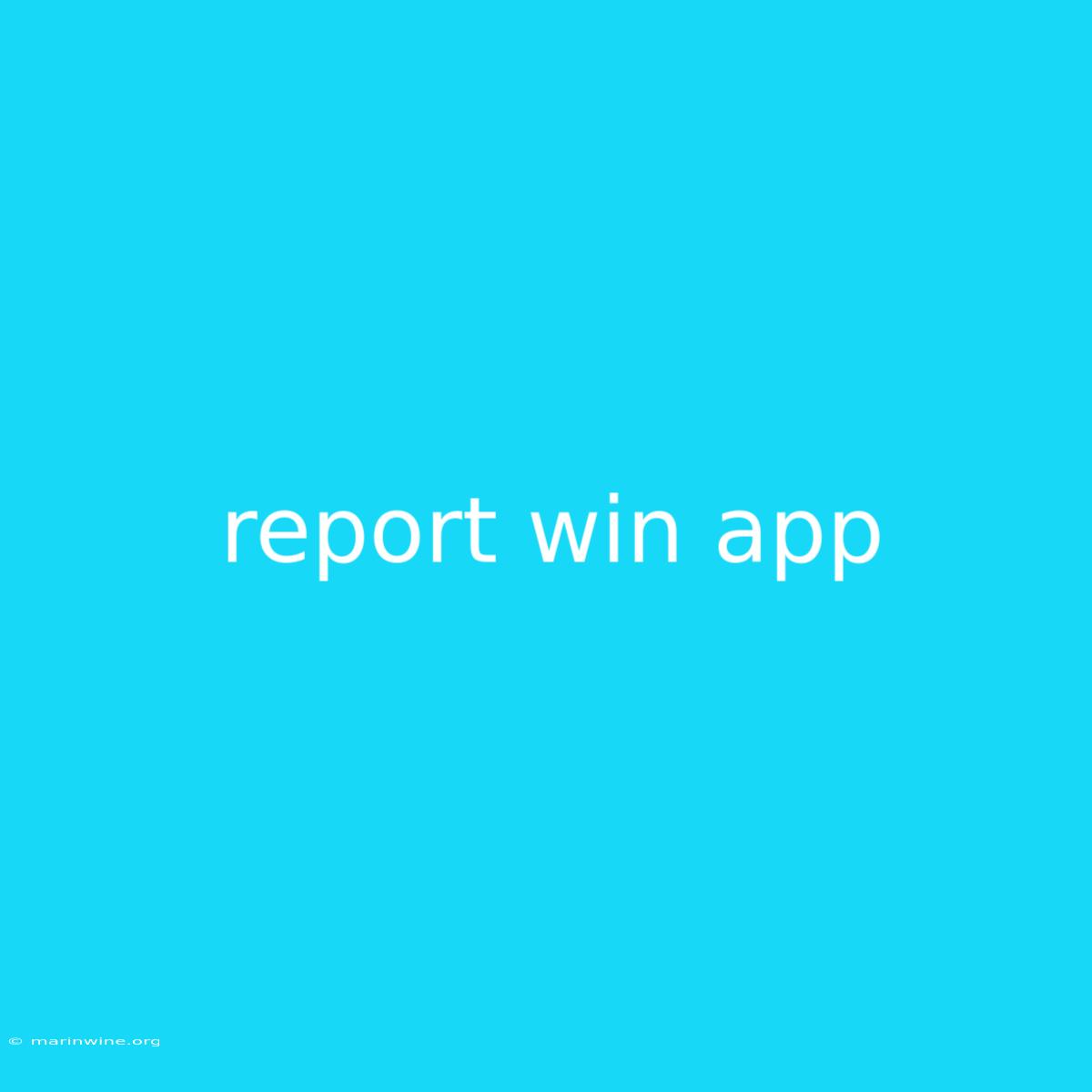 Report Win App