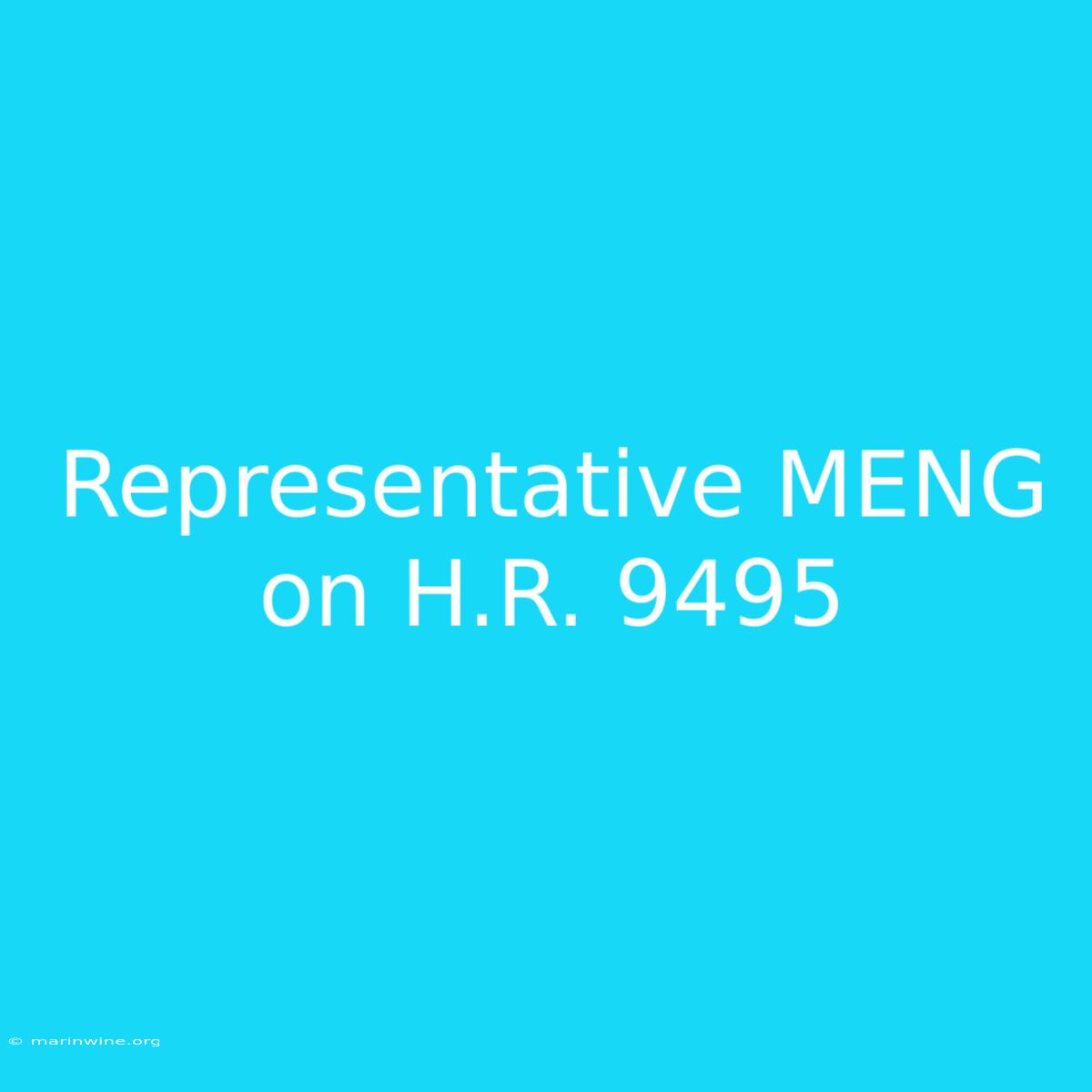 Representative MENG On H.R. 9495