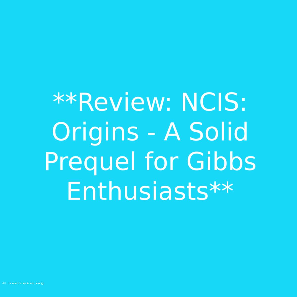 **Review: NCIS: Origins - A Solid Prequel For Gibbs Enthusiasts**