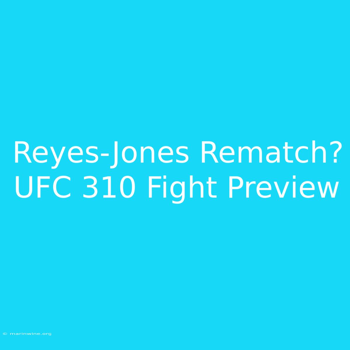 Reyes-Jones Rematch? UFC 310 Fight Preview