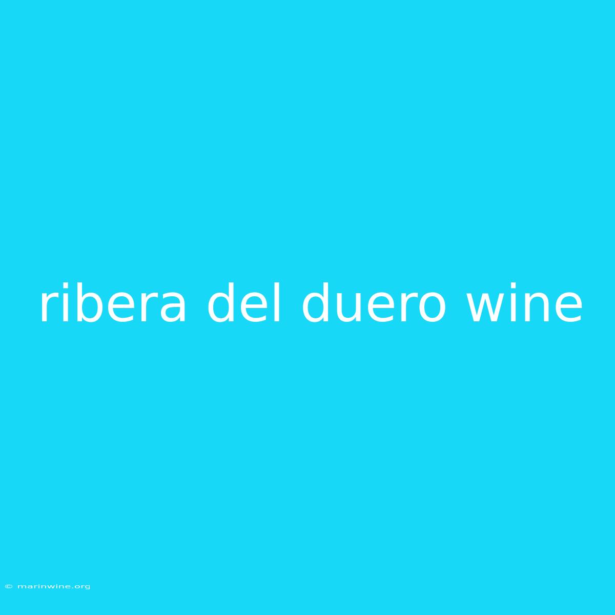 Ribera Del Duero Wine