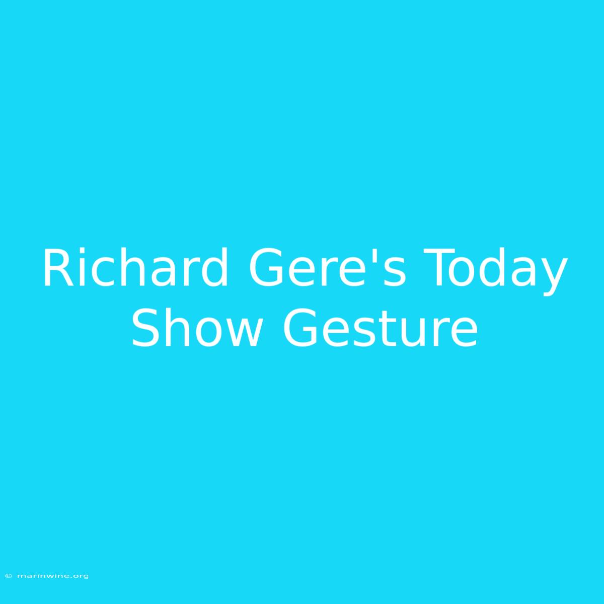 Richard Gere's Today Show Gesture