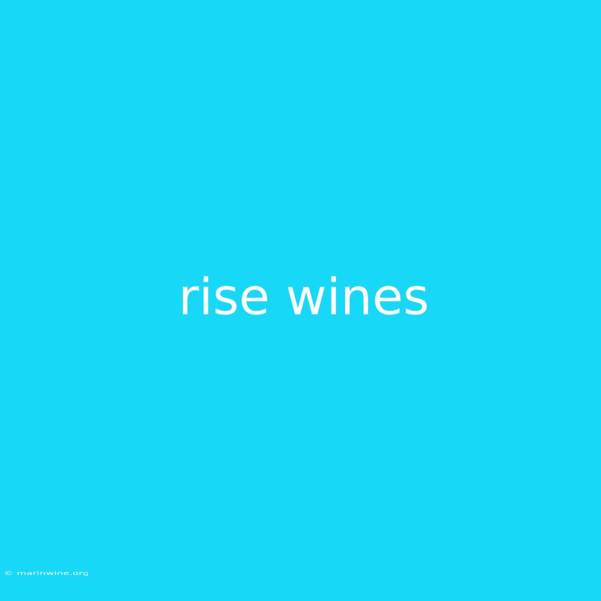 Rise Wines